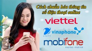 cách chuẩn hóa thông tin thuê bao Viettel, Mobifone, Vinaphone online