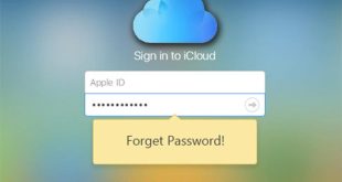 Cách lấy lại mật khẩu iCloud bằng số điện thoại, email iPhone Android